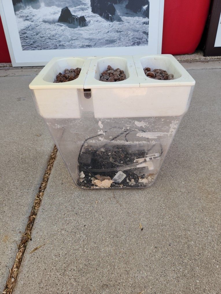 Aquaponic Set Up