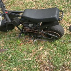 Mini Bike / Project Bike