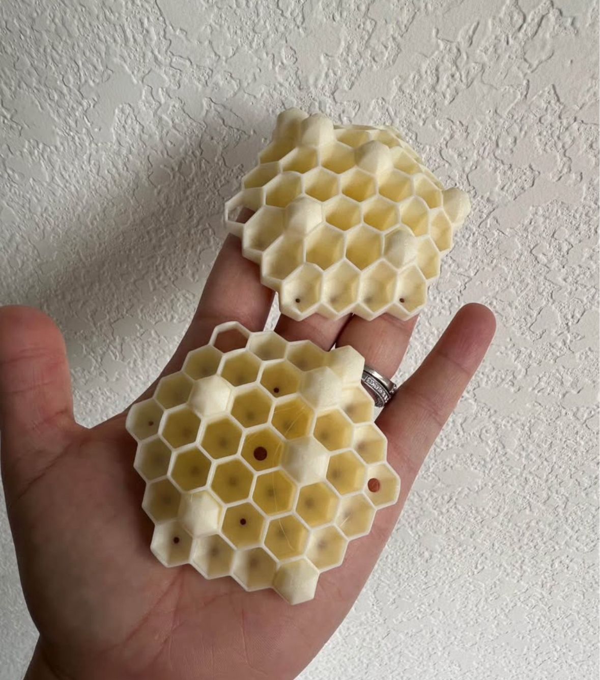 Wasp Deterrent Nest, No Fumigation Needed 5 For $20 Nests
