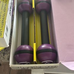 Old School Zumba Maracas Weights 
