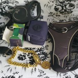 Dog Pack with small gold stained collar