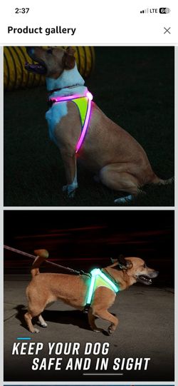 Noxgear LightHound – Revolutionary Illuminated and Reflective Harness for Dogs Including Multicolored LED Fiber Optics (USB Rechargeable, Adjustable,
