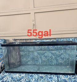 55 gallon Aquarium/terrarium