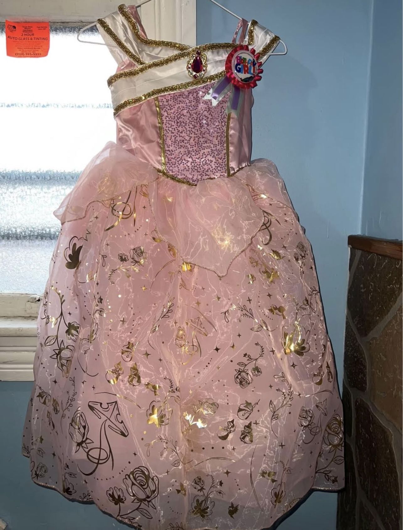 Disney Aurora Dress