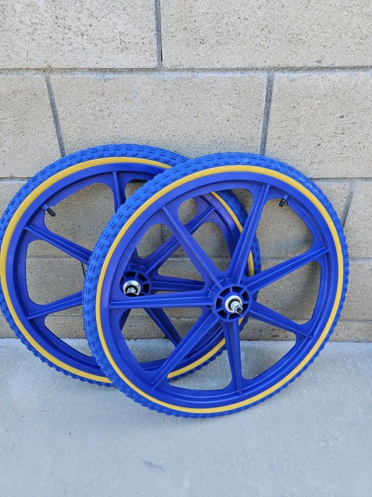 24" Blue Skyway Mags