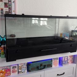Large Reptile Terrarium 