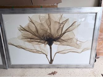 Framed decorative pictures