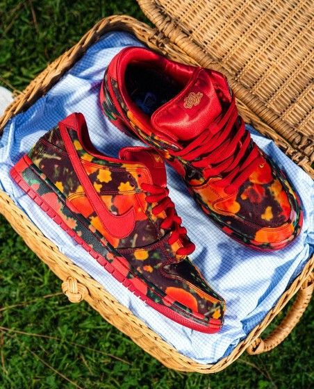 Wizard Of Oz Sb Nike
