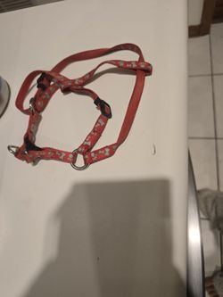 Red Dog Harness