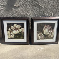 Floral Pictures
