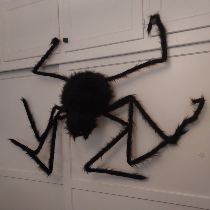 Giant Furry Spider