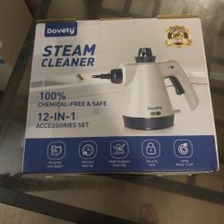 steam cleaning 