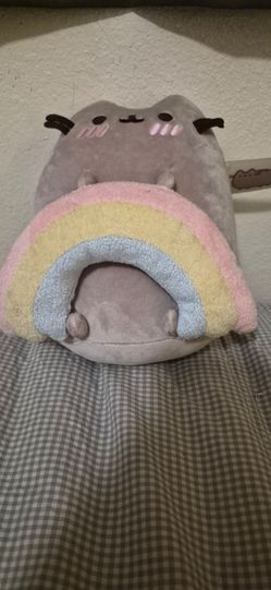 Pusheen with Rainbow Plush