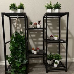 Indoor Plant Shelf 