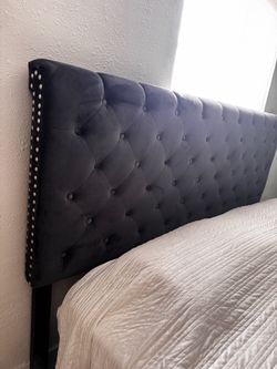 Velvet Tufted Bed Frame with Tall Headboard