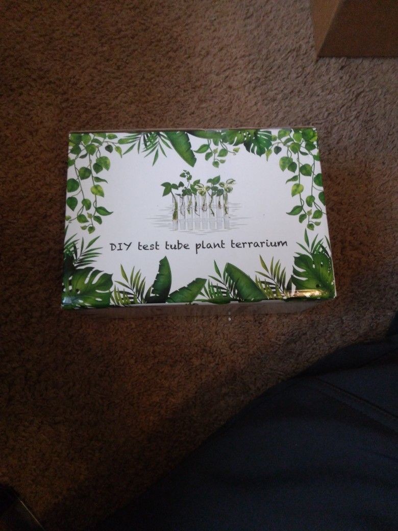 DIY test tube Plant Terrarium