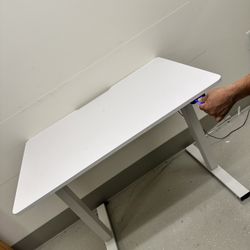 Standing Desk 