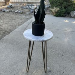Plant Stand With Faux Plant