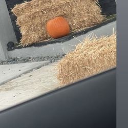 Hay 