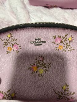 D&G Purse With 2 Coach Makeup Bags