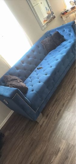 Blue velvet couch