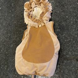 Halloween Costume Lion