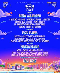 Baja Beach Fest 3 day VIP with baja bundle