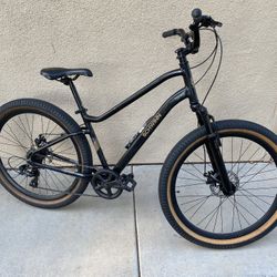 Schwinn Large City Bike 