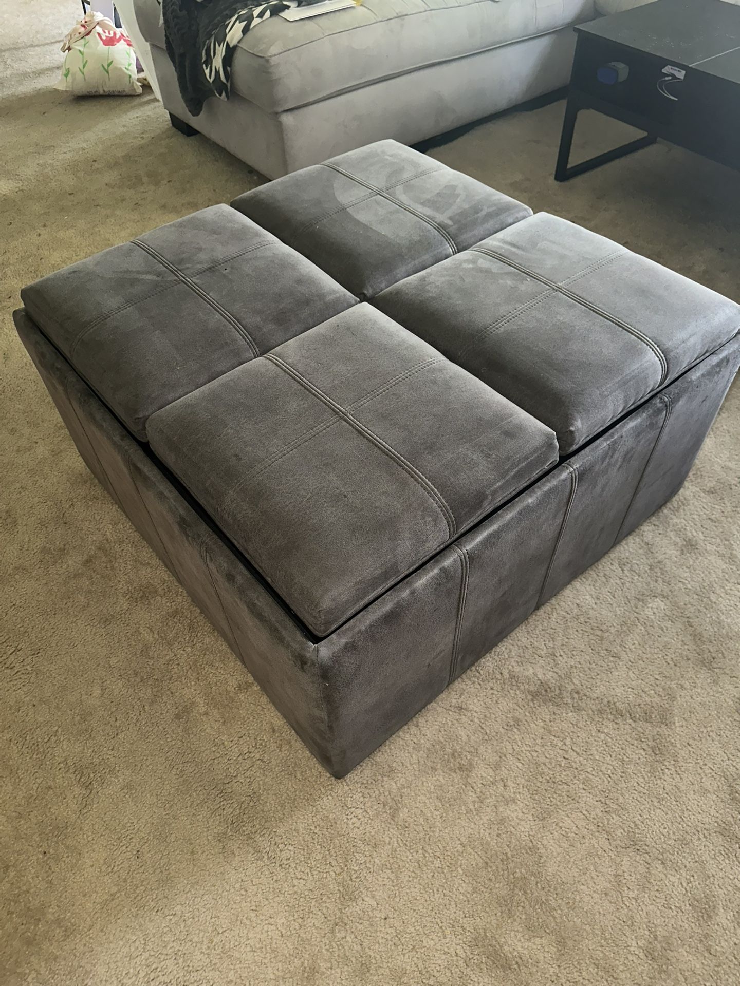 Cushioned Ottoman With Storage