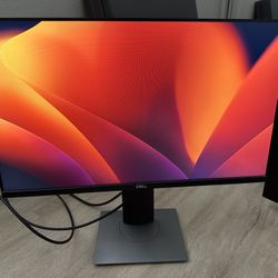 Dell 24” Monitor