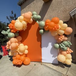 Balloon Arch