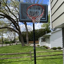 🏀 Hoop About 12” High