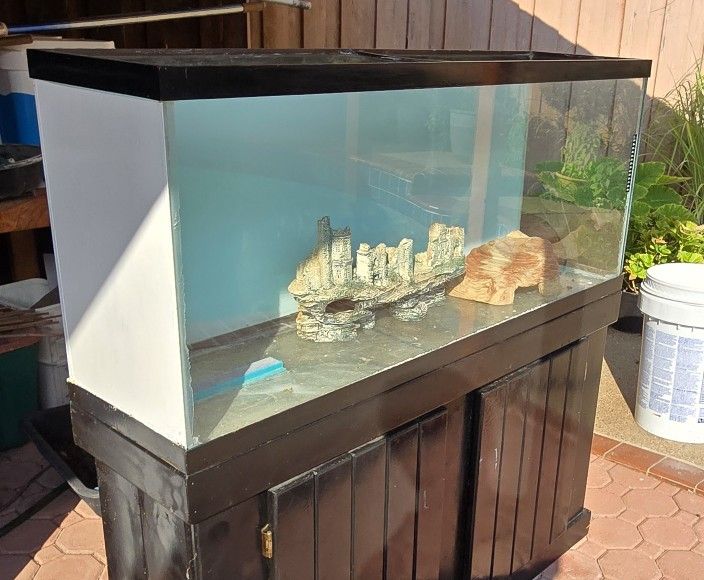 50 Gallons Fish Tank and stand.