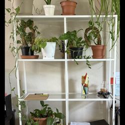 White Living Room Stand For Plants/Books
