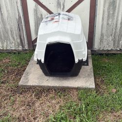 Large Dog House