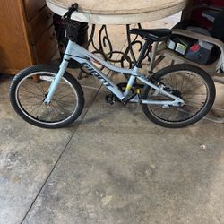 2024 Giant Bike