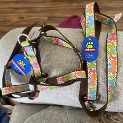 New Dog Top Paw Harness And Leash