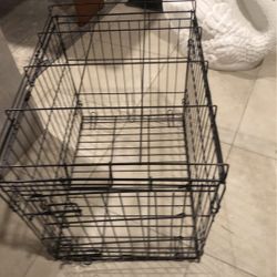 House Dog