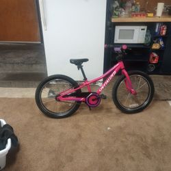 Specialized Rip Rock 20 " Bicycle  $75.00