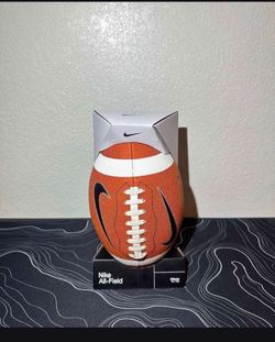 Nike Footballs
