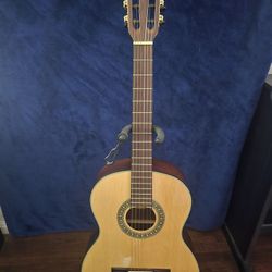Guitarra Fender