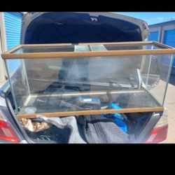 55 Gallon Fish Tank