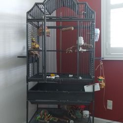 Parrot / Bird Cage 