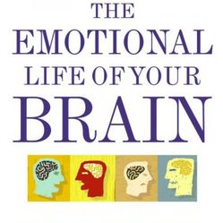 The Emotional Life Of Your Brain