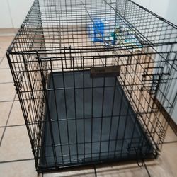 Dog Kennel 