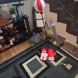 Kids Punching Bags With Gloves