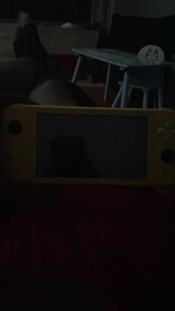 Nintendo Switch lite