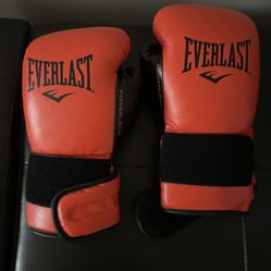 Boxing Gloves Everlast 12 Oz