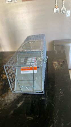 Animal trap
