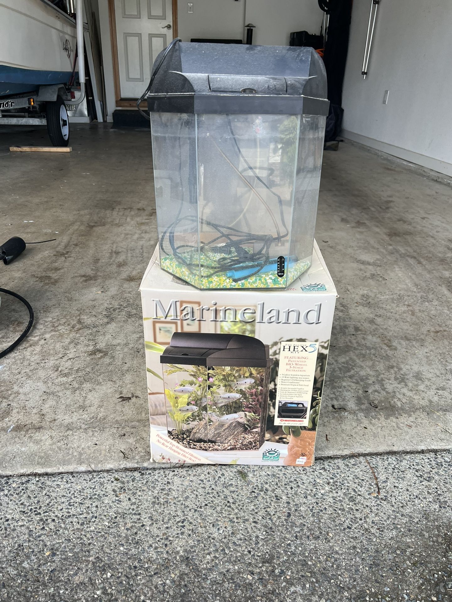 Fish Tank 5 Gallon